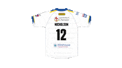The Wire Nicholson Sticker by Warrington Wolves