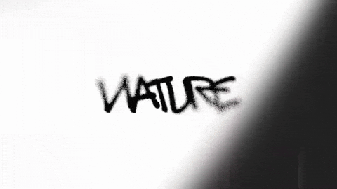 Valorant GIF by Evil Geniuses