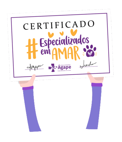 veterinariaagape giphyupload love cat dog Sticker