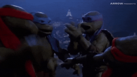 High Five Martial Arts GIF by Arrow Video