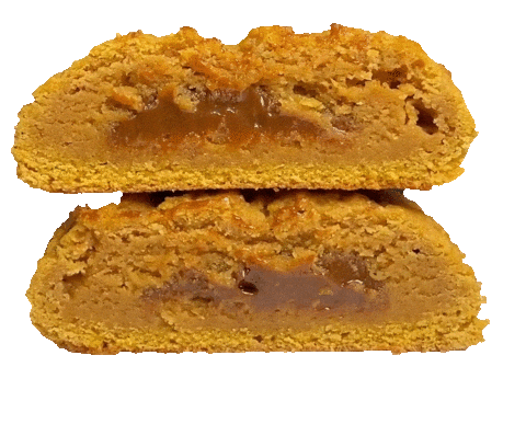 Chocolate Pumpkin Sticker by Chip City Cookies