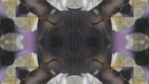 Art Love GIF by jorgemariozuleta