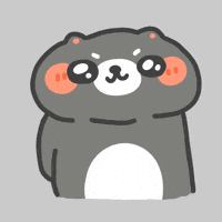 Cute Cat Anyone GIF