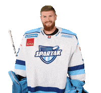 tiposshl sport hockey goalie hokej Sticker