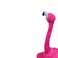 Flamingo Swipe Up Sticker by lastminute.com