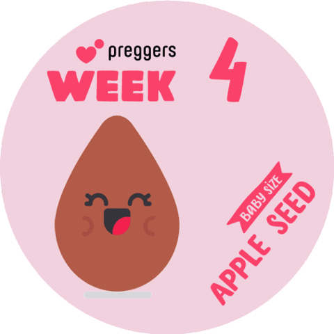 Apple Seed Baby Sticker by Preggers