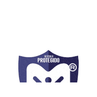 Master Protecao Veicular Sticker by MasterBrasil