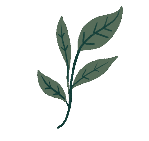 maypop giphyupload plant plants leaf Sticker