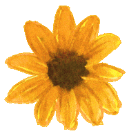 イラスト 花 Sticker