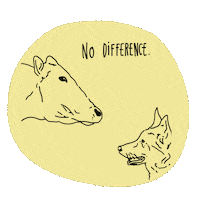 Vegan Prove Sticker