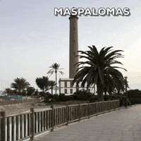 Beach Spain GIF by Visit Maspalomas