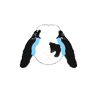 bosshappythebunny bosshappy Sticker