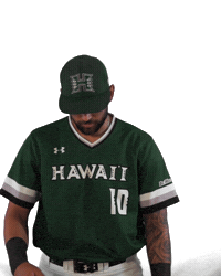 College Baseball Sticker by Hawaii Athletics