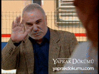Baba Gar GIF by Yaprak Dökümü