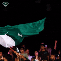 beinpakistan_ flag Pakistan pk beinpakistan GIF