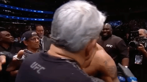 ufc 205 GIF