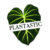 Plant Restock Sticker by Plantastic