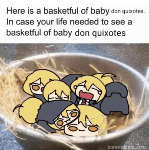 Don Quixote GIF