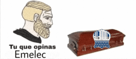 Liga De Quito Ldu GIF