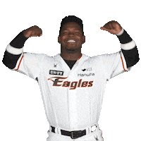 Hanwhaeagles Sticker