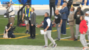 Mike Vrabel Football GIF by New England Patriots