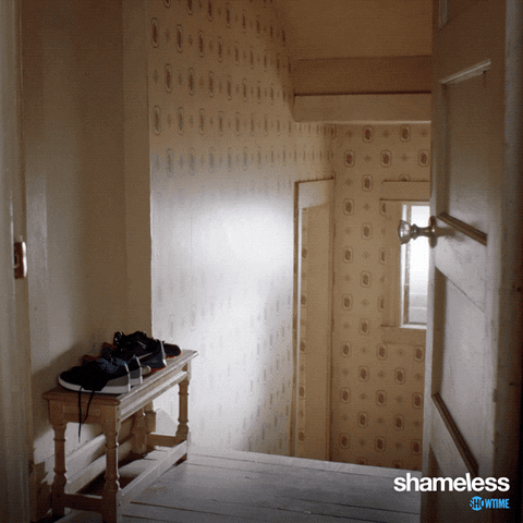 Episode 5 Showtime GIF by Shameless