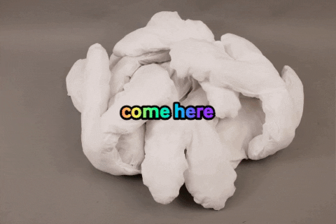 capucinerobert giphygifmaker GIF