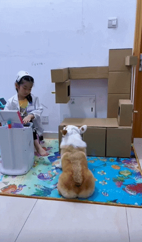 yj_jane giphyupload GIF