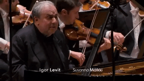 luizaguimaraes66a4 giphygifmaker orchestra berlin philharmonic digital concert hall GIF