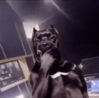 Talking Dog GIF
