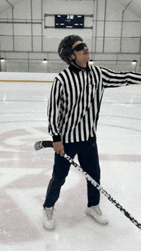 heroboardfitness sports referee ref blindref GIF