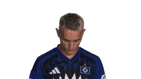 Look Up Hamburger Sv Sticker by Bundesliga