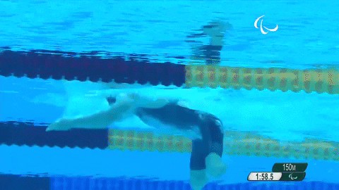 Team Usa Swimming GIF by International Paralympic Committee