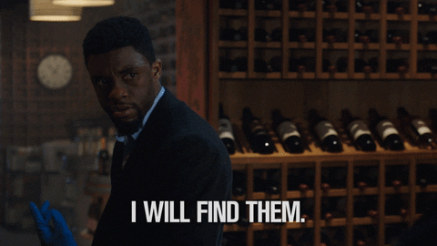 I Will Find Them Black Panther GIF by 21 Bridges