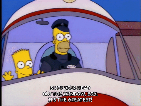 homer simpson GIF