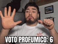 Voto Sei GIF