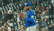Blue Jays Baseball GIF by Toronto Blue Jays