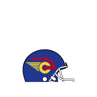 Football Sticker by Camioneros de Coslada