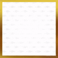 Party Community GIF by Staatsloterij