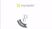 xyngular GIF