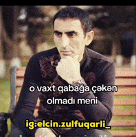 Elçin Zülfüqarlı GIF