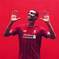 Champions League Dancing GIF by Liverpool FC
