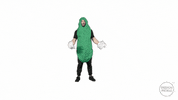 Graphic Design Pickles GIF by Design Pickle