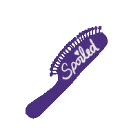 Hairbrush Sticker by SpoiledSalon