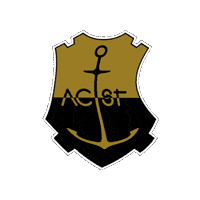 acquasantanyc football soccer brasil fifa Sticker