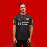 Bayer 04 Bundesliga GIF by Bayer 04 Leverkusen