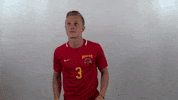 Wheeling University GIF by WU Cardinals