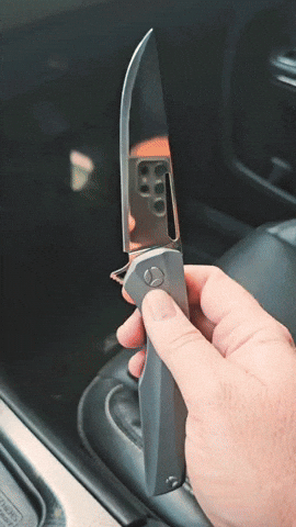 nilknarf1 mirror polish s390 biryukov custom 10 GIF