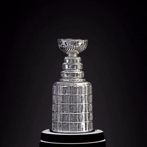 Stanley Cup Sport GIF by RightNow