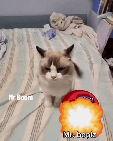 Mr Boom Bepizman GIF